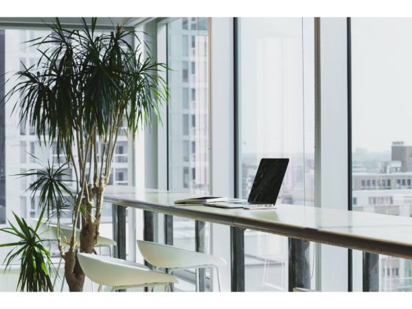 Día internacional de las personas con discapacidad Día internacional de las personas con discapacidad